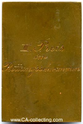 Foto 2 : BRONZEPLAKETTE 1913 des Schwimm-Verein Stern von 1893...