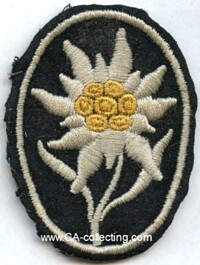 SS MOUNTAIN GUIDES SLEEVE INSIGNIA.