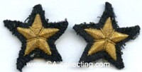1 PAIR SPECIALTY SLEEVE INSIGNIA FOR OFFICER.
