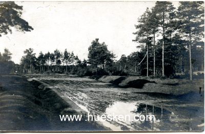 PHOTO 9x14cm: Landstraße im Wald, 1916.