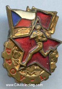 ARMY SPORTS BADGE 1 CLASS