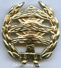 GILDED GOLD CLASS ARMY PERFORMANCE BADGE.