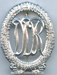 SPORTS BADGE FOR ADULTS IN SILVER.